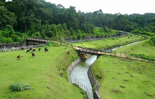 Experience Coorg with Kabini